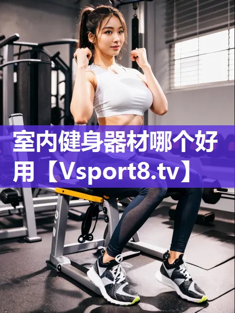 室内健身器材哪个好用