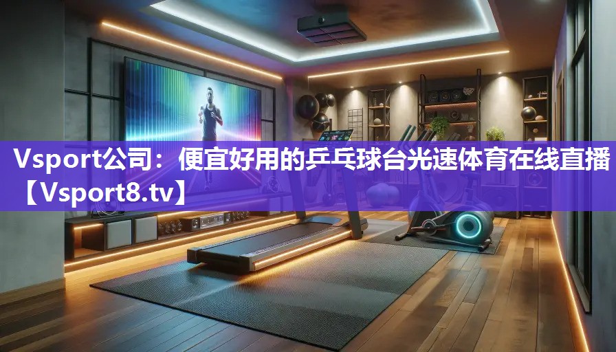 Vsport公司：便宜好用的乒乓球台光速体育在线直播