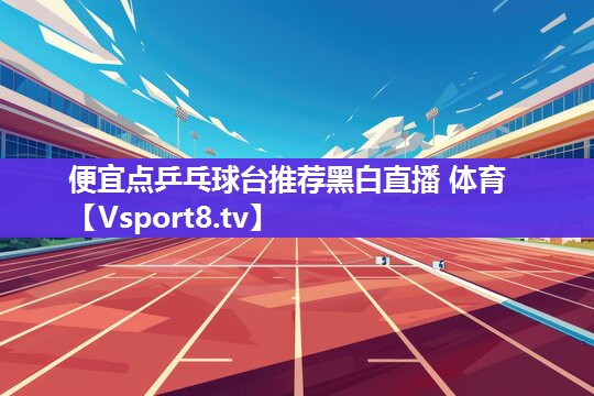 便宜点乒乓球台推荐黑白直播 体育