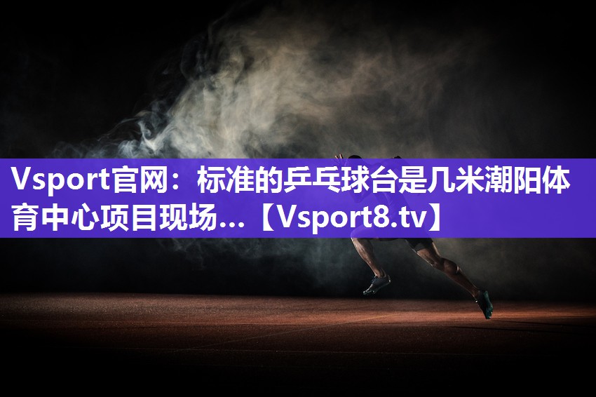 Vsport官网：标准的乒乓球台是几米潮阳体育中心项目现场…