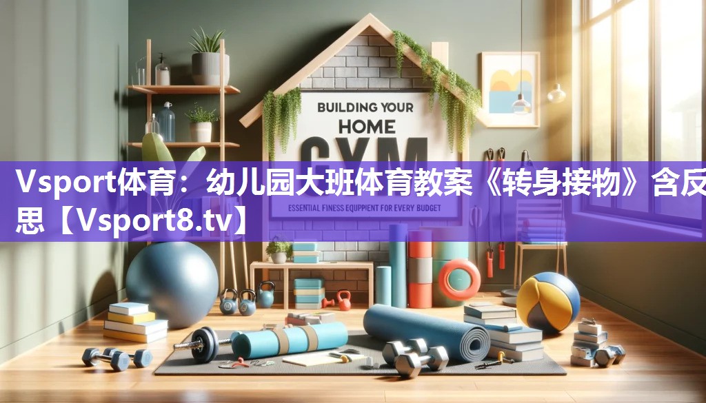 Vsport体育：幼儿园大班体育教案《转身接物》含反思