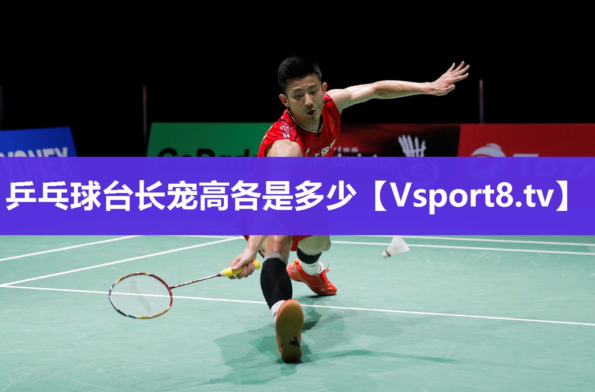 乒乓球台长宠高各是多少