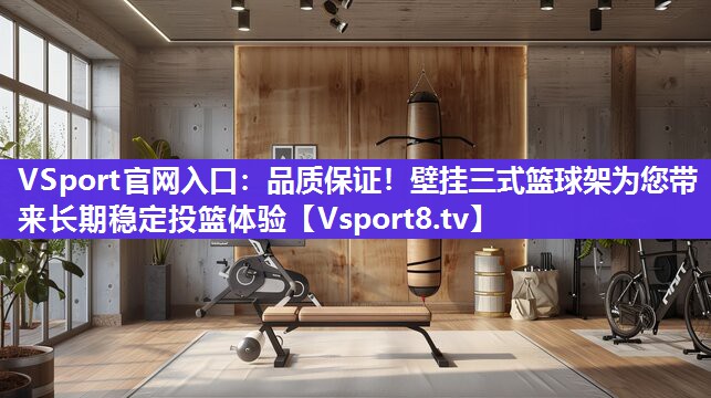 VSport官网入口：品质保证！壁挂三式篮球架为您带来长期稳定投篮体验