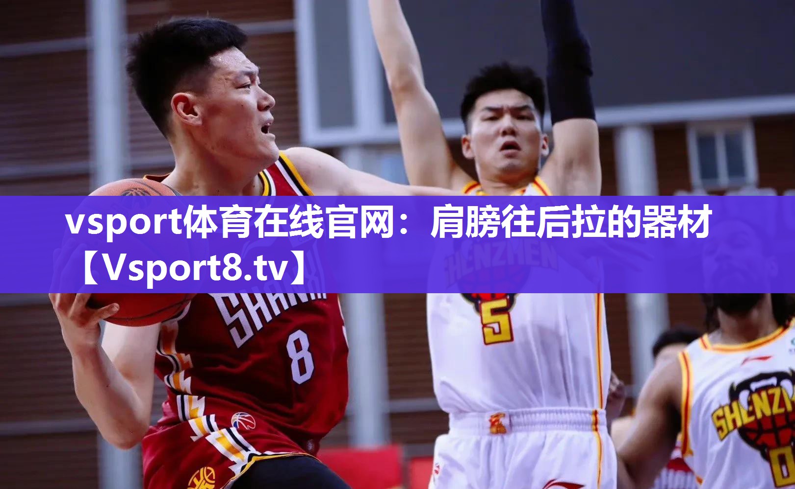 vsport体育在线官网：肩膀往后拉的器材