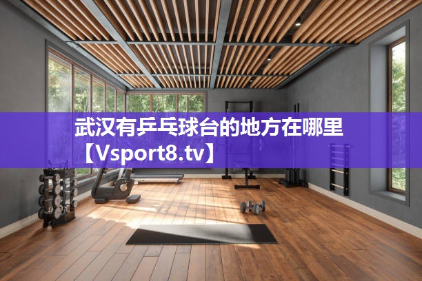 武汉有乒乓球台的地方在哪里